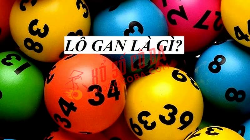 Giới thiệu tổng quan về lô gan